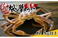 【22016】【先行予約】鳥取県網代産　訳あり松葉がに1kgセット 鳥取 岩美 松葉ガニ ズワイガニ かに