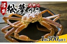 【22015】【先行予約】鳥取県網代産 松葉がに（足折れ１～２本）500g以上（生） 鳥取 岩美 松葉ガニ ズワイガニ かに 