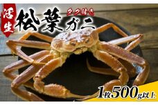 【22014】【先行予約】鳥取県網代産 松葉がに（ブランドタグ付き）500g以上（生） 鳥取 岩美 日本海 松葉ガニ ずわいがに かに 