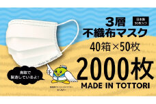【72001】鳥取県岩美町産 不織布マスク 50枚入り×40箱（2000枚）
