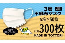【72003】鳥取県岩美町産 不織布マスク 50枚入り×6箱（300枚）