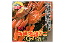 【訳あり】浜茹で！松葉ガニ1kgセット 鳥取網代港 岩美 松葉がに ズワイガニ かに カニ 日本海【さかなや新鮮組】【22025】