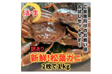 【訳あり】活！松葉ガニ1kgセット 鳥取網代港 岩美 松葉がに ズワイガニ かに カニ  カニ鍋 かにすき 焼きガニ日本海【さかなや新鮮組】【22026】