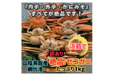 【訳あり】浜茹で！絶品セコガニ1kgセット 鳥取網代港 岩美 松葉ガニ ずわいがに かに カニ 日本海 せこがに 親がに 蟹汁【さかなや新鮮組】【22031】