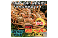 【訳あり】活！絶品セコガニ1kgセット 鳥取網代港 岩美 松葉がに ズワイガニ かに カニ 日本海 せこがに せいこがに 親がに【さかなや新鮮組】【22032】