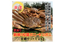 【訳あり】活！松葉ガニ・セコガニ1kgセット 鳥取網代港 岩美 松葉がに ズワイガニ かに カニ 日本海 せこがに【さかなや新鮮組】【22034】