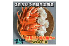 【22035】鳥取網代港　地元で大人気　浜茹で！若松葉ガニ（中5枚10肩）岩美 松葉がに ずわいがに かに カニ 日本海【さかなや新鮮組】