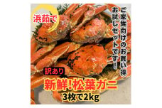 【訳あり】浜茹で！松葉ガニ2kgセット 鳥取網代港 岩美 松葉がに ずわいがに かに【さかなや新鮮組】【22017】