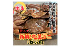 【訳あり】活！松葉ガニ2kgセット 鳥取網代港 岩美 松葉がに ずわいがに かに カニ 日本海【さかなや新鮮組】【22018】