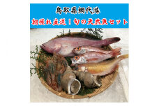 【21007】鳥取網代港 朝獲れ直送！旬の天然魚セット【さかなや新鮮組】