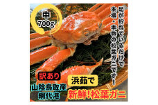 【訳あり】浜茹で！松葉ガニ（中）700g 鳥取網代港 岩美 松葉がに ズワイガニ  かに カニ 日本海【さかなや新鮮組】【22029】
