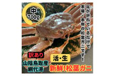 【訳あり】活！松葉ガニ（中）700g 鳥取網代港 岩美 松葉がに ズワイガニ かに カニ 日本海【さかなや新鮮組】【22030】