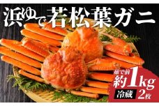 【先行予約】鳥取県岩美町特産 若松葉ガニ姿茹で 2枚セット【22042】