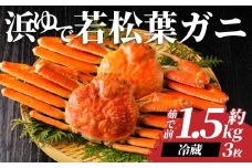 【先行予約】鳥取県岩美町特産 若松葉ガニ姿茹で 3枚セット【22043】
