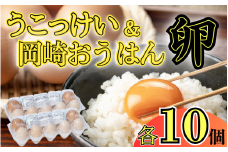 烏骨鶏＆岡崎おうはん薬膳鶏の自然な恵み！卵ペアセット｜鳥取 たまご うこっけい 鶏卵【33003】
