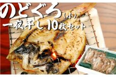 のどぐろ一夜干し 10枚【24033】｜鳥取 岩美 日本海 干物 海産物 ひもの ノドグロ