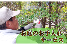緑風園 お庭手入れ５万円分 岩美町にお庭をお持ちの方【63020】鳥取 岩美 剪定 お手入れ