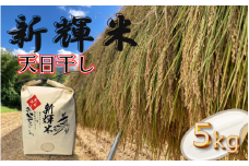 新輝米コシヒカリ  天日干し（竹パウダー使用）５kg｜鳥取 岩美 お米 白米 【31006】