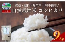 【2025新米先行予約】自然栽培米こしひかり（玄米）３kg×３袋｜鳥取 岩美 岩美町産 お米 こめ 玄米 無農薬 無肥料 新米 先行予約 早期予約【31008】