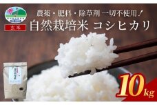 【2025新米先行予約】自然栽培米こしひかり（玄米）５kg×２袋｜鳥取 岩美 岩美町産 お米 こめ 玄米 無農薬 無肥料 新米 先行予約 早期予約【31010】