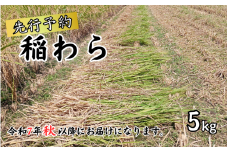 岩美町産コシヒカリの稲わら （長いタイプ）５kg｜鳥取 岩美 稲わら わら 藁 家庭菜園 先行予約 お届けは令和7年10月～【34003】