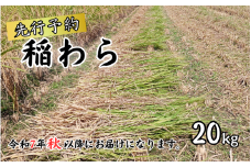 岩美町産コシヒカリの稲わら （長いタイプ）２０kg｜鳥取 岩美 稲わら わら 藁 家庭菜園 先行予約 お届けは令和7年10月～【34005】