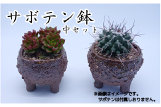 眞名焼 サボテン鉢 中サイズ2個 丸型 角型ペア　｜鳥取 岩美 鉢 丸型 角型【71013】