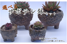 眞名焼 サボテン鉢 小＋特大サイズ　｜鳥取 岩美 鉢 丸型 角型【71016】