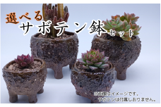 眞名焼 サボテン鉢 小＋大サイズ　｜鳥取 岩美 鉢 丸型 角型【71015】