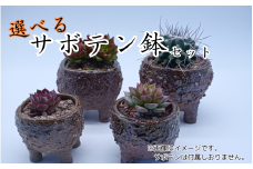 眞名焼 サボテン鉢 小＋中サイズ　｜鳥取 岩美 鉢 丸型 角型【71014】