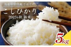 【2025年産 先行予約】岩美のコシヒカリ 5kg 玄米｜鳥取 岩美 お米 おこめ コメ 国産 岩美町産 こしひかり 令和7年産【31015】