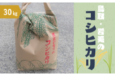 【2025年産 先行予約】岩美のコシヒカリ 30kg 玄米｜鳥取 岩美 お米 おこめ コメ 国産 岩美町産 こしひかり 令和7年産【31017】