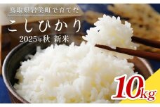 【2025年産 先行予約】岩美のコシヒカリ 10kg 玄米｜鳥取 岩美 お米 おこめ コメ 国産 岩美町産 こしひかり 令和7年産【31016】