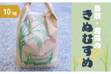 【2025年産 先行予約】岩美のきぬむすめ 10kg 玄米｜鳥取 岩美 お米 おこめ コメ 国産 岩美町産 きぬむすめ 令和7年産【31019】