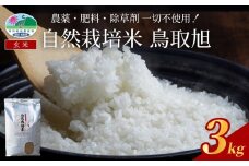 【2025年産 先行予約】自然栽培米 鳥取旭（玄米）3kg｜鳥取 岩美 岩美町産 お米 こめ 玄米 無農薬 無肥料【31022】