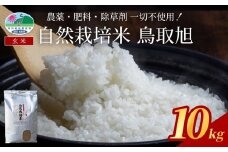 【2025年産 先行予約】自然栽培米 鳥取旭（玄米）5kg×2袋｜鳥取 岩美 岩美町産 お米 こめ 玄米 無農薬 無肥料【31025】