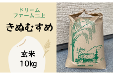 【2025年産 先行予約】岩美町産きぬむすめ（玄米）10kg｜鳥取 岩美 お米 おこめ コメ きぬむすめ 令和7年産【31021】