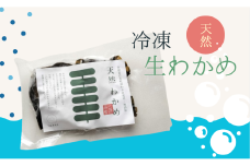 うみのもり 冷凍生わかめ 100g×10個セット｜鳥取 岩美 わかめ ワカメ 海藻 冷凍 生【24042】