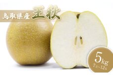 【先行予約】中野農園 梨 ”王秋梨” 5kg箱｜鳥取 岩美 梨 なし ナシ  赤梨 果物 フルーツ【41017】