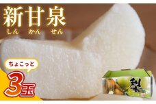 【先行予約】中野農園 梨 ”新甘泉” 3玉入り｜鳥取 岩美 梨 なし ナシ  赤梨 果物 フルーツ【41019】
