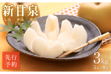 【先行予約】中野農園 梨 ”新甘泉” 3kg箱｜鳥取 岩美 梨 なし ナシ  赤梨 果物 フルーツ【41020】