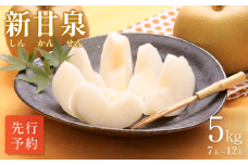 【先行予約】中野農園 梨 ”新甘泉” 5kg箱｜鳥取 岩美 梨 なし ナシ  赤梨 果物 フルーツ【41021】