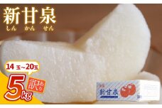【先行予約】（訳あり）中野農園 梨 ”新甘泉” 5kg箱｜鳥取 岩美 梨 なし ナシ  赤梨 果物 フルーツ【41022】