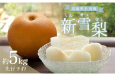【先行予約】中野農園 梨 ”新雪梨” 5kg箱｜鳥取 岩美 梨 なし ナシ  赤梨 果物 フルーツ【41023】