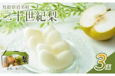 【先行予約】中野農園 梨 ”二十世紀梨” 3玉入り｜鳥取 岩美 梨 なし ナシ 20世紀梨 青梨 果物 フルーツ【41024】