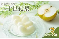 【先行予約】中野農園 梨 ”二十世紀梨” 3kg箱｜鳥取 岩美 梨 なし ナシ 20世紀梨 青梨 果物 フルーツ【41025】