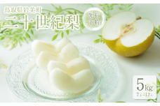 【先行予約】中野農園 梨 ”二十世紀梨” 5kg箱｜鳥取 岩美 梨 なし ナシ 青梨 果物 フルーツ【41026】