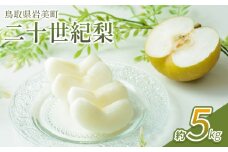 【先行予約】中野農園 梨 ”二十世紀梨” 5kg箱｜鳥取 岩美 梨 なし ナシ 20世紀梨 青梨 果物 フルーツ【41026】