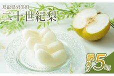 【先行予約】（訳あり）中野農園 梨 ”二十世紀梨” 5kg箱｜鳥取 岩美 梨 なし ナシ 20世紀梨 青梨 果物 フルーツ【41027】