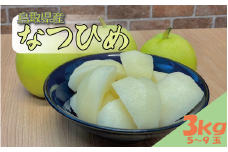 【先行予約】安田農園 梨 ”なつひめ” 3kg箱｜鳥取 岩美 梨 なし ナシ 青梨 果物 フルーツ【41028】